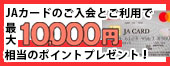 ＷＥＢ融資保証審査申込み（ジャックス（JACCS）保証）